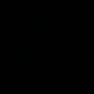 Meet your Posher, Juli